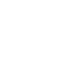 Pirate